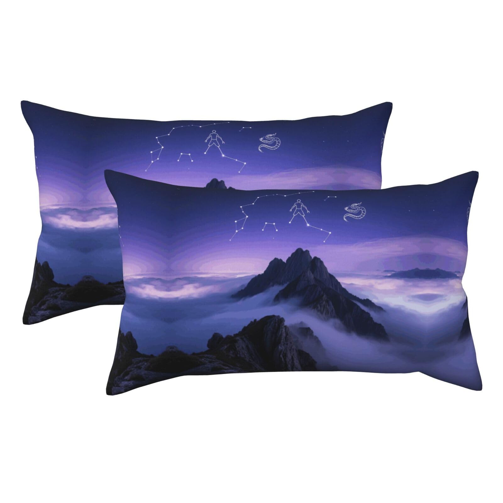 Purple Sky Luxury King Pillowcases Set of 2, Plush Velvet Feel Pillow Covers with Hidden Zipper, Skin & Hair Friendly, 20x36 Inches Pillow Cases for Sleeping Gift
