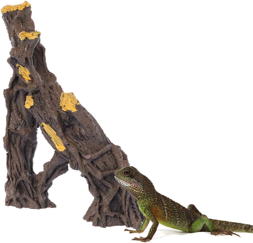 Chuiouy Reptile Climbing Branches Natural Driftwood Aquarium Decor For Spider Lizards Ladder Climbing Pet Supplies Amazon Com