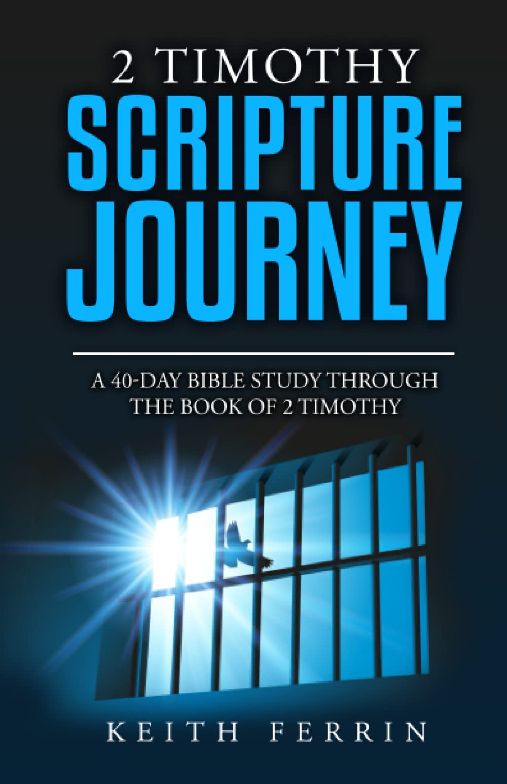 2 Timothy Scripture Journey: A 40-Day Bible Study Through the Book of 2 Timothy (Scripture Journeys with Keith Ferrin)