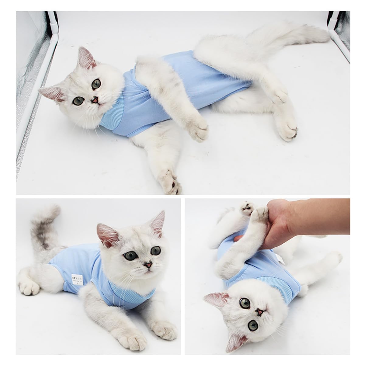 SamHeng Cat Professional Recovery Suit, Kitten Surgery Recovery Suit for Abdominal Wounds or Skin Diseases, Cats Anti Licking Vest Bodysuit, E-Collar Alternative for Cats after Surgery Wear (Blue-L) - Image 4