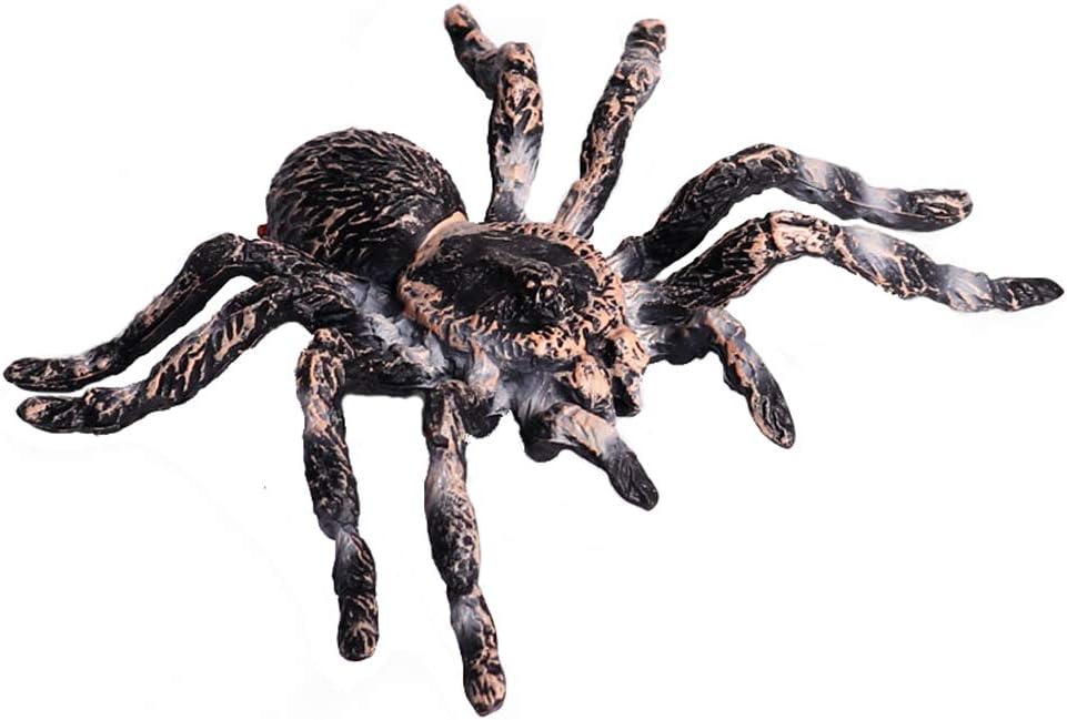Realistic Animal Figures - Spider Action Model Lifelike Insect Toy Figures - Educational Learning Toys Birthday Set for Boys Girls Kids Toddlers (Giant Whiteknee)
