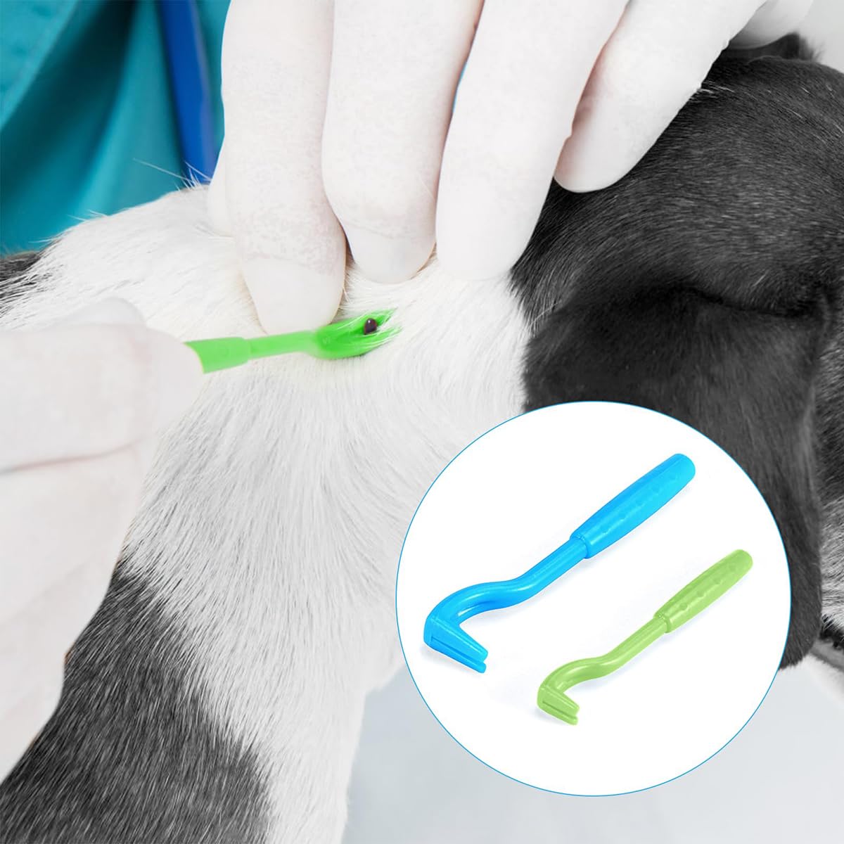 6 PCS Tire Tique Chien Pince à Tiques, Pièges à Tiques, Tire Tique pour Humain - pour Chat Pince à pour Homme, Enfants et Chevaux Anti