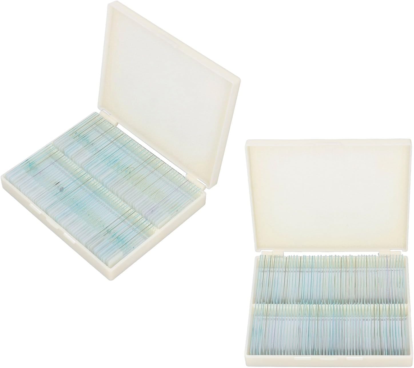 100 Piece Microscope Slide Set for Biological Science Laboratory - Optical Glass Specimen Plates with Rounded Edges and Plant Samples - Compatible with 20x Magnification Units