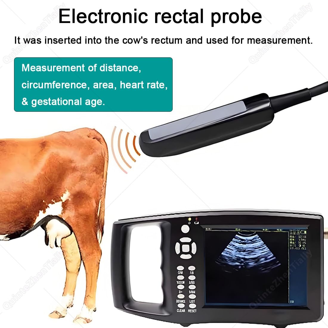 Macchina Veterinaria Multifunzione Portatile,con 3.5/6.5mhz Sonda A3