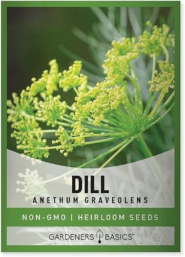Gardeners Basics Las semillas de eneldo para plantar son una reliquia, variedad de hierbas sin OMG, semillas de hierbas Anethum Graveolens, ideales