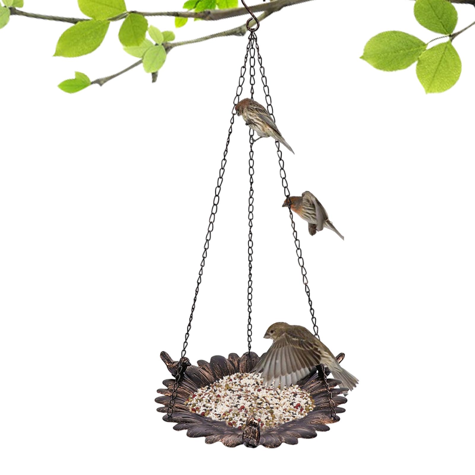 Mangeoire pour oiseaux sauvages pour balcon et porche de maison