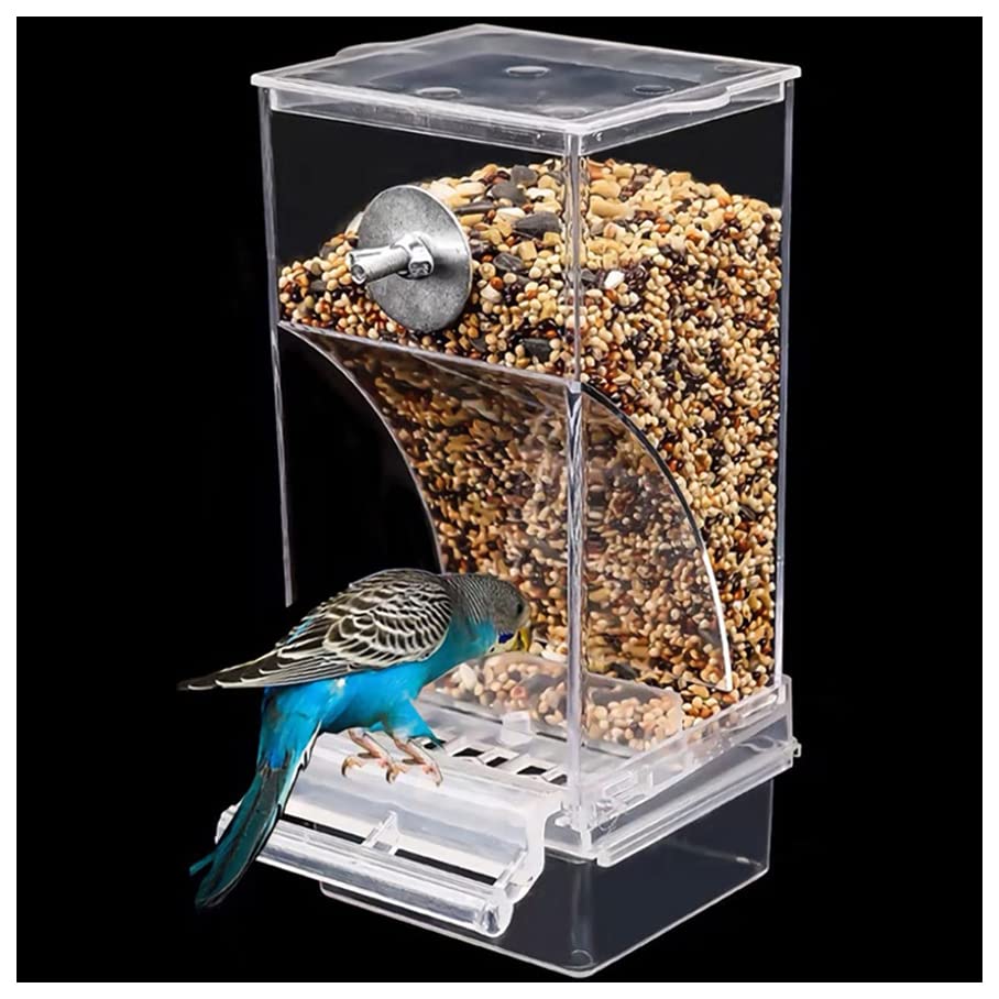 10 Best Unique Parrot Bird Feeders Top 5 Options for Your Feathered