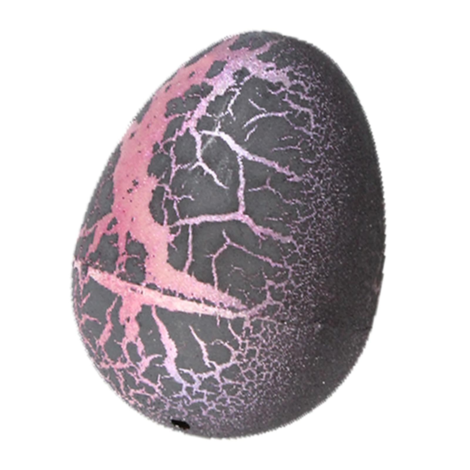 Amazon.co.jp: Jiimhte 恐竜の卵が水で孵化します。恐竜の卵が孵化し