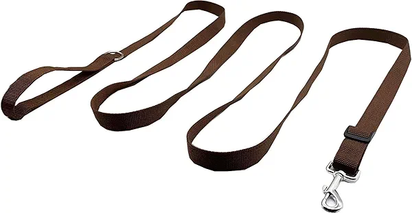 TAIAN Adjustable Nylon Dog Leash, 6FT/10 FT Long Dog Leashes for Small Medium Large Dogs (1 in x 10 ft, Brown)