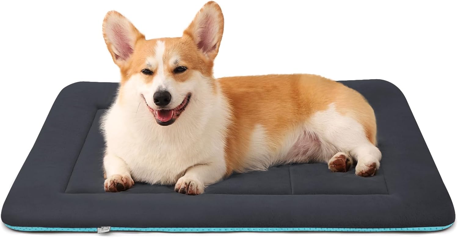 Magic Dog Plush Dog Bed for Medium/Large Dogs Soft Dog