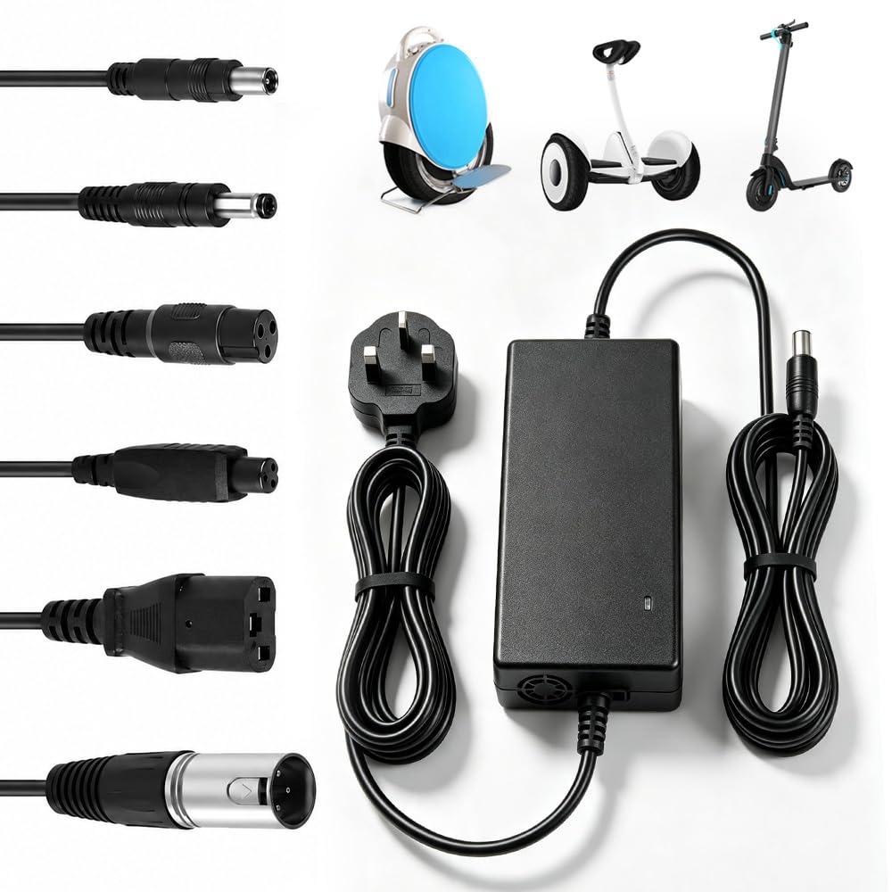 Electric Scooter Charger 54.6V 2A, SGZIOO Hoverboard Charger for 48V Li-ion Battery, E Scooter Charger with 6 Connections, Electric Bike CHarger for Mobility Scooter, Electric Bike, Self-Balancing