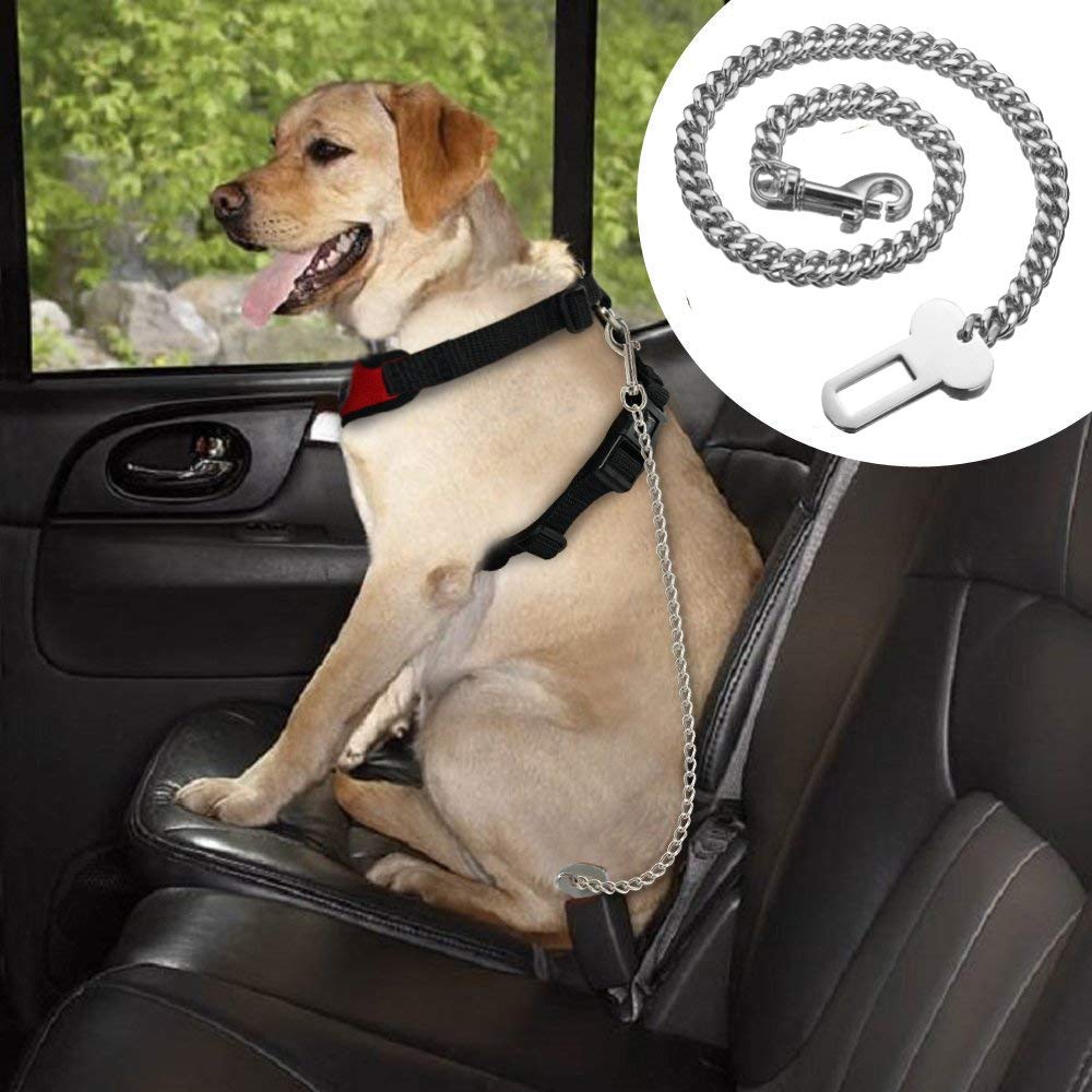 dog chain belt