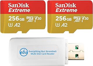SanDisk Extreme 256GB MicroSD (2 Pack) Memory Card for GoPro Hero 9 Black Action Cam Hero9 SDXC (SDSQXA1-256G-GN6MN) UHS-1 V30 A2 Bundle with (1) Everything But Stromboli MicroSDXC & SD Card Reader