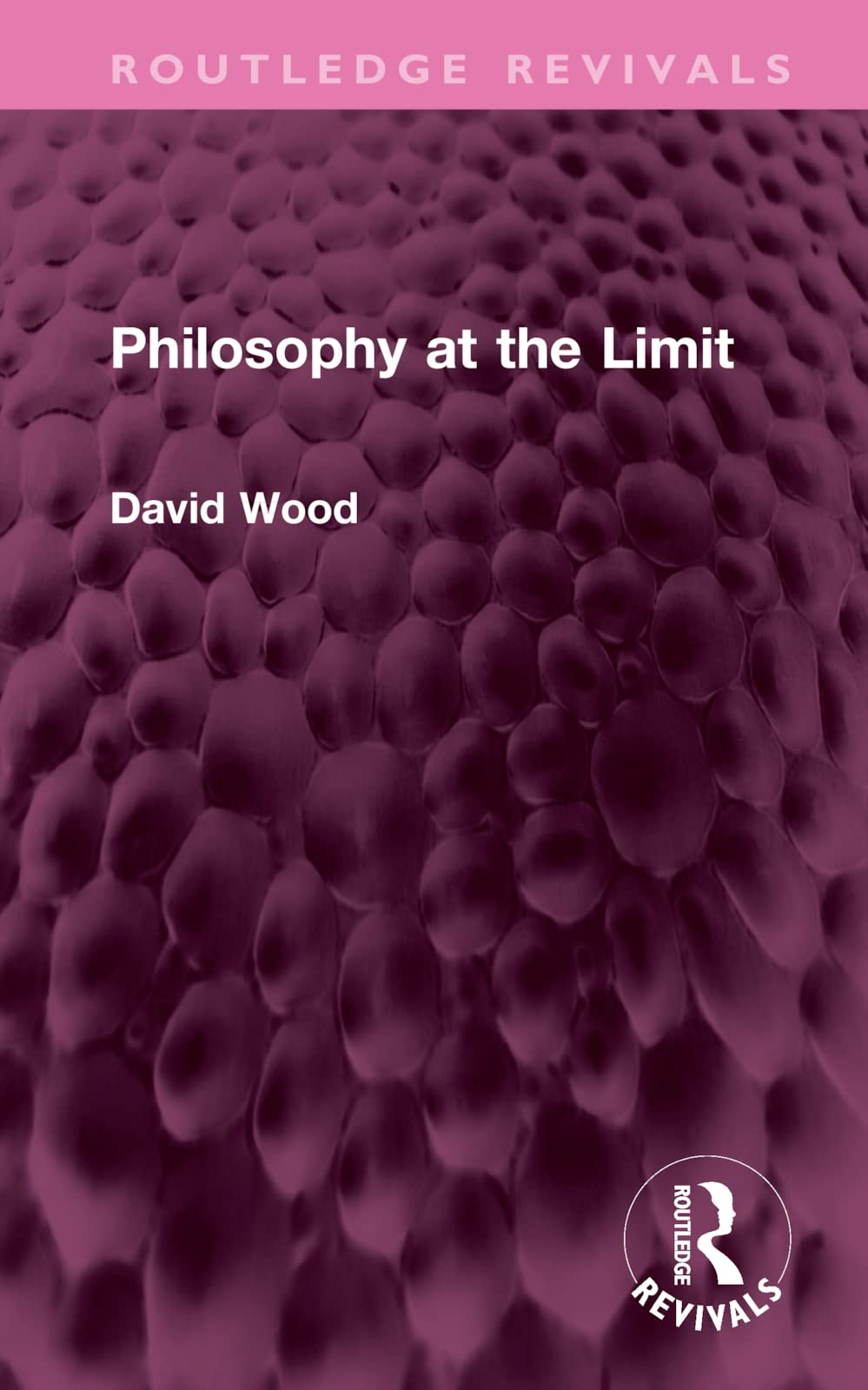 Philosophy at the Limit (Routledge Revivals)