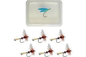 Royal Coachman: A Trusted Ally for Anglers Seeking Precision