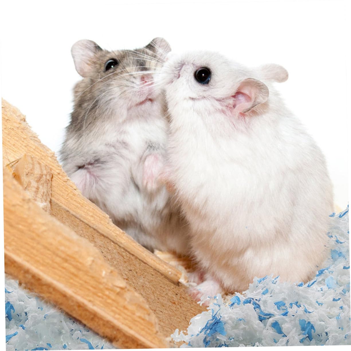 2 Borse Lettiera Naturale per Animali Domestici Lettiera di Carta per Criceti Imbottitura per Nido in Gabbia