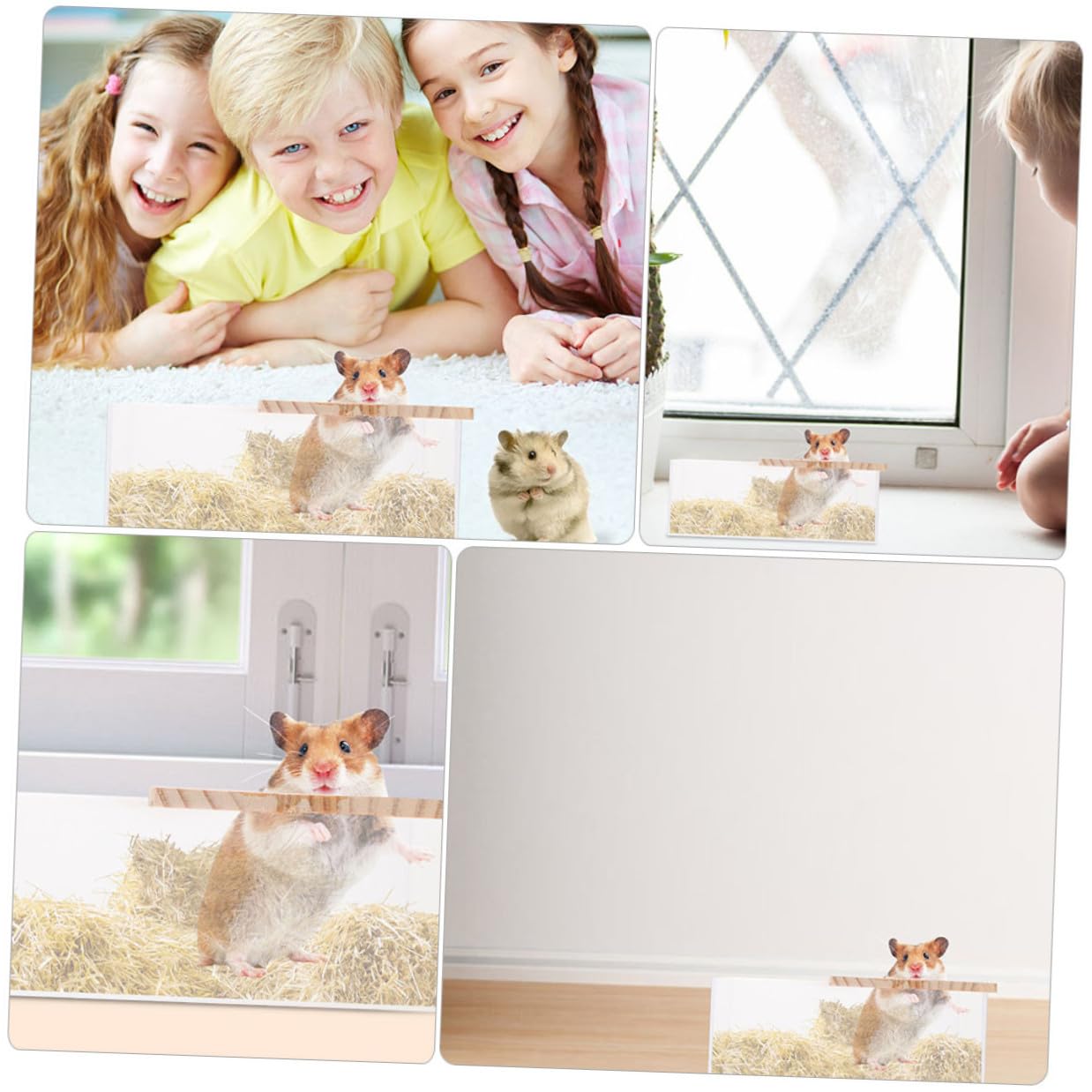 Transparenter Badewannenbehälter für Hamster und Kleintiere, 2 Stück