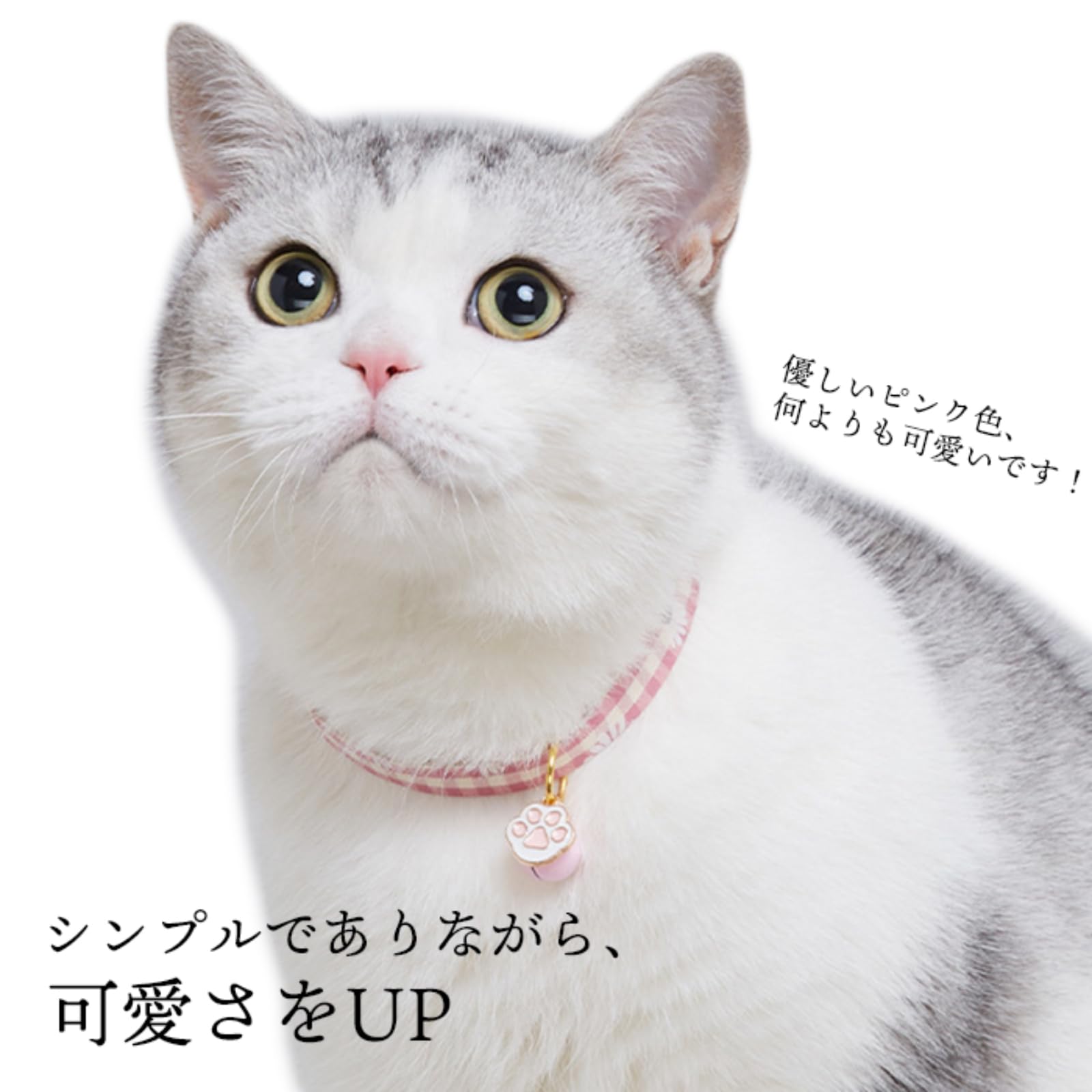 ジューンブライド(ホワイト③)わんちゃん猫ちゃん用首輪 Amazon | 猫 首輪 ネコ 首輪 くびわ 鈴 チェック柄 軽量 バックル