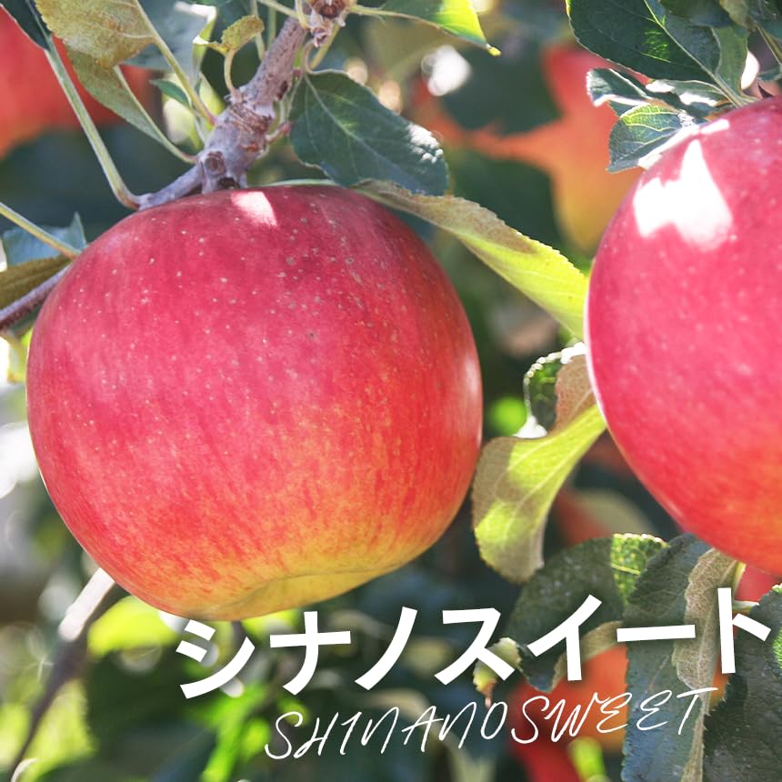 【シナノスイートりんごジュース】1000ml 12本 長野県産りんご果汁100％ Amazon.co.jp: りんごジュース シナノスイート 果汁100