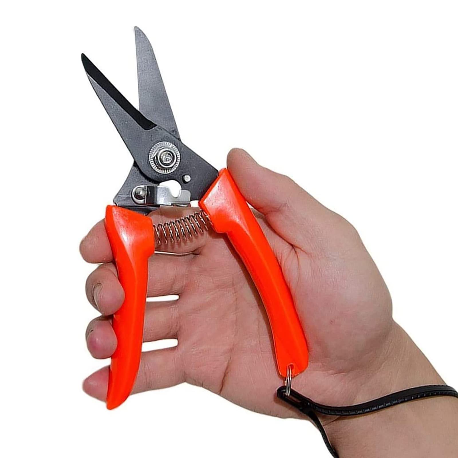 Herramientas para recortar cascos de caballos,Reco Foot Rot Shears Multiusos Cabra Oveja Alpaca Hoof Trimmers, Pig Hoof Trimmer Multiusos Twig y Floral Trimming Shears for Garden (Color:red) ( Color :