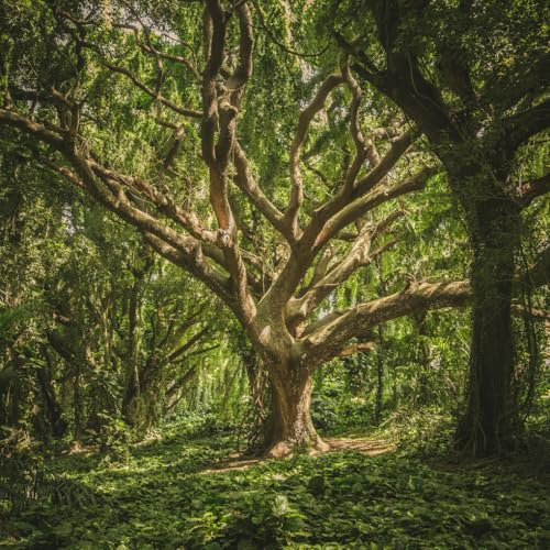 Mein Poesie Album - ein quadratisches Buch zum Zeichnen, Schreiben, Philosophieren mit Skizzen- und Fotoseiten von Seraphiiia-Design | Ideal als ... Malbuch, Skizzenheft, Zeichenbuch | Baum