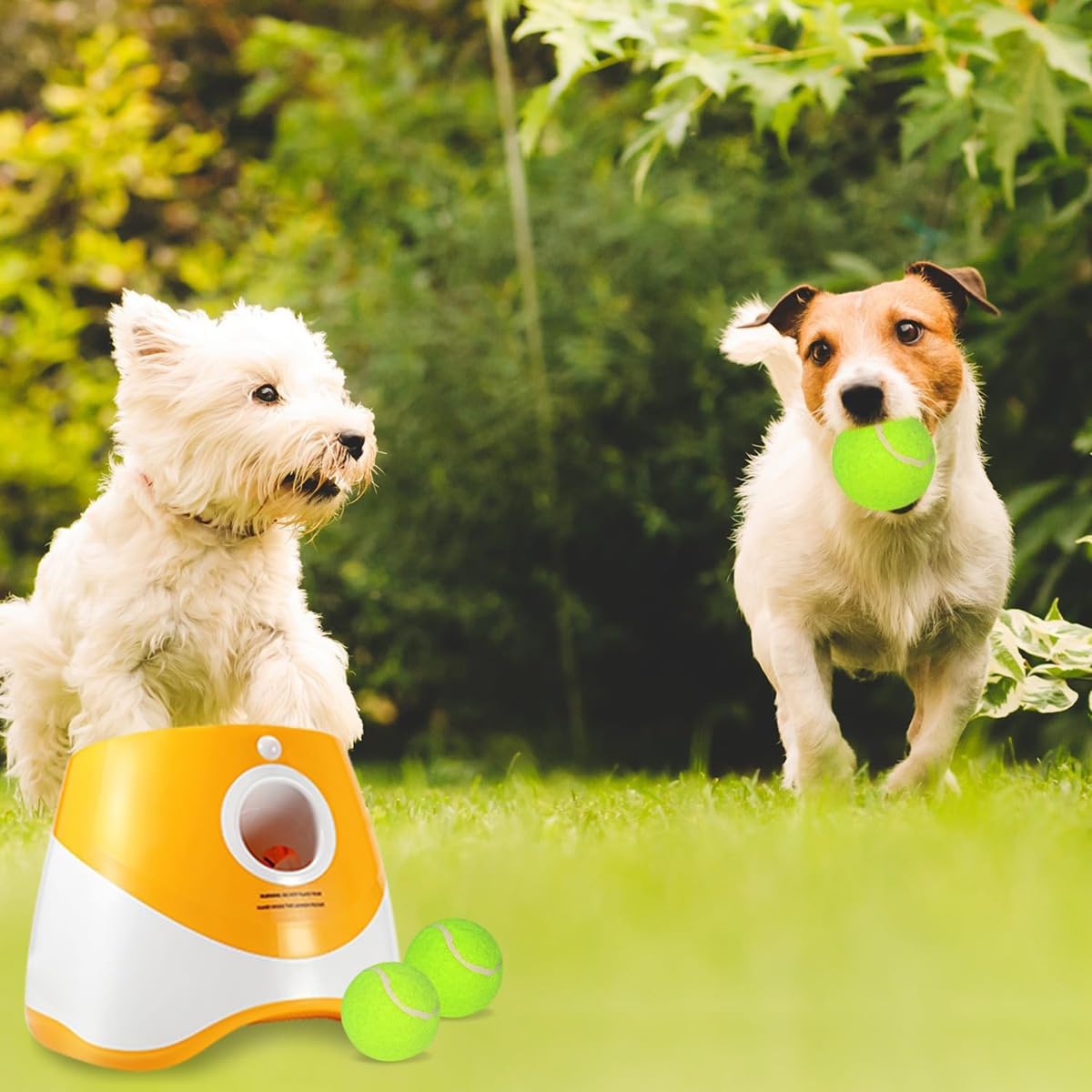 Automatischer Hundetenniswerfer Mini Haustier Verfolgungsspielzeug Wiederaufladbare Wurf-Pinballmaschine Interaktiver Spaß