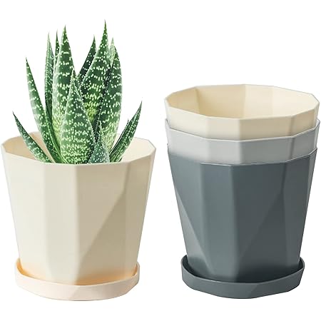Amazon Co Jp Jspyfits 植木鉢 トレイ付き プラスチック製 プランター おしゃれ 最新型 北欧風 スリット鉢 3個入り13cm 給水鉢 ポット 鉢植え 花 蘭 観葉植物 バラ ハーブ適用 インテリア 庭 ベランダ 3色 Diy 工具 ガーデン Amazon Co Jp Jspyfits 植木鉢 トレイ付き プラスチック製 プランター おしゃれ 最新型 北欧風 スリット鉢 3個入り13cm 給水鉢 ポット 鉢植え 花 蘭 観葉植物 バラ ハーブ適用 インテリア 庭 ベランダ 3色 Diy 工具 ガーデン