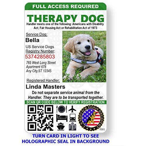 Are Service Dogs Allowed In Pet Free Apartments