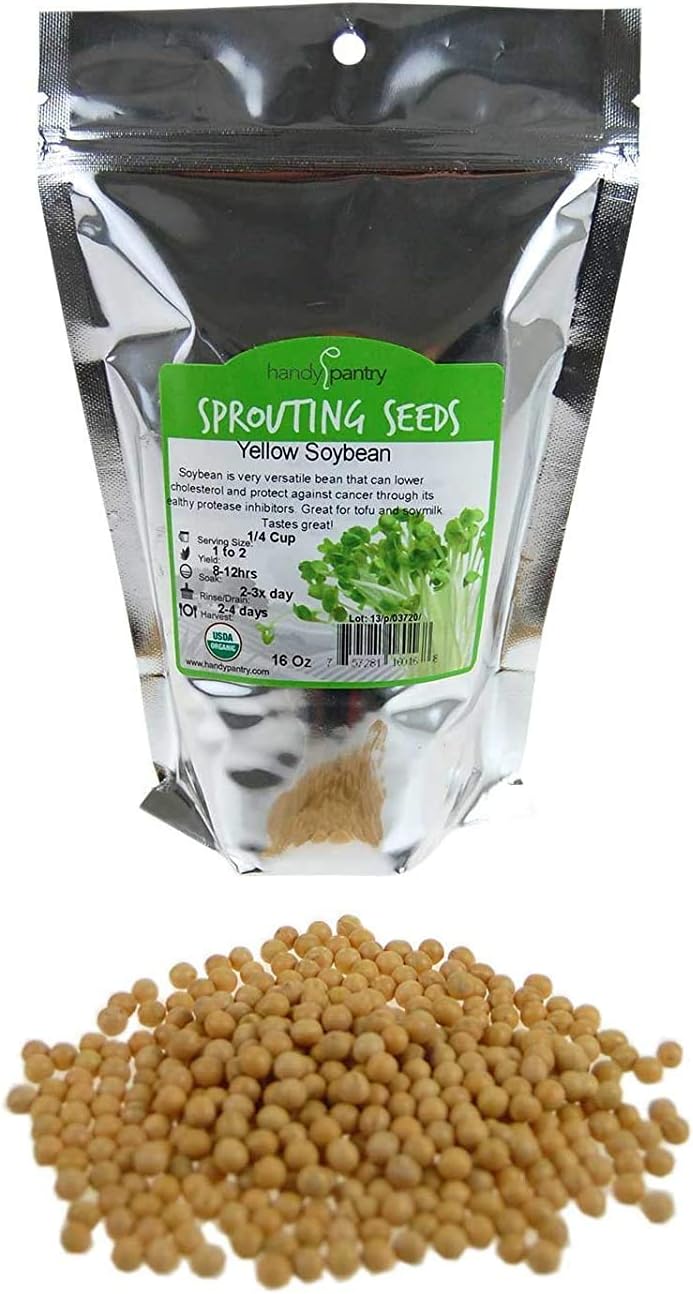 Dried Soy Beans Organic Sprouting Seed 1 Lbs High Germination Rate