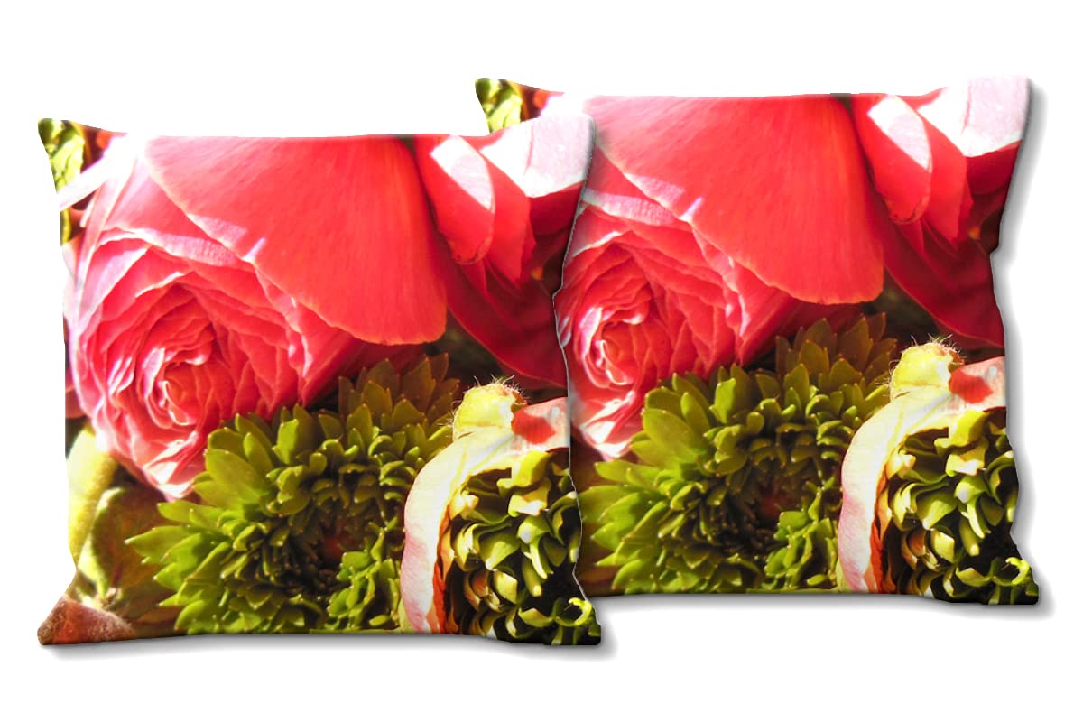 Pfingstrosen - Foto-Kissen-Hülle Set (2 STK.) 40 x 40 cm | Kissen-Bezüge - passend zu Wandbild - Deko-Kissen - Rose Blume Blüte Natur Garten