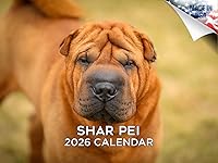 Vista 11 de Razas de Perros 2017