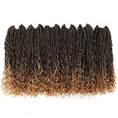 New Bomb Twist Crochet With Curly Hair 6 Packs Boho Hippie Locs More Small Curls River Locs 14 Inch Bohemia Locs Crochet Hair Synthetic Braids Hair Extensions for Women(144Strands, 1B/27#)