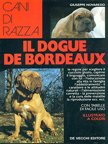  Dogue de Bordeaux
