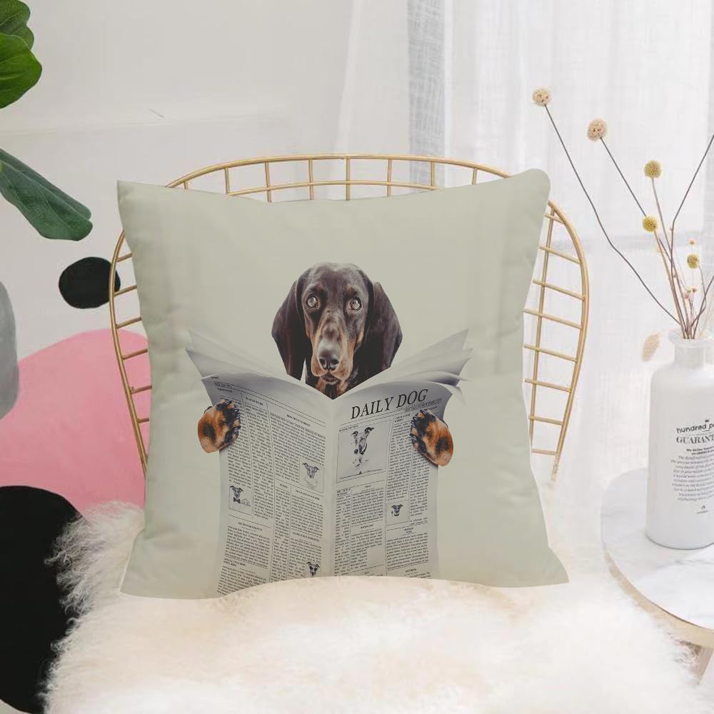 HYMSXW Cushion Cover,Throw Pillow Case Home Decorative for Living Room Bedroom Sofa Chair 20X20 Inch,dachshund sausage dog reading a newspaper magazine in bedroom in bed,Pillowcase 50X50cm