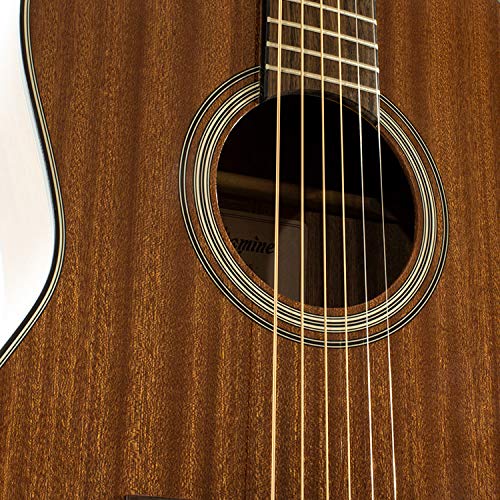TAK-GSY11ME-NG Chitarra acustica new yorker elettrificata
