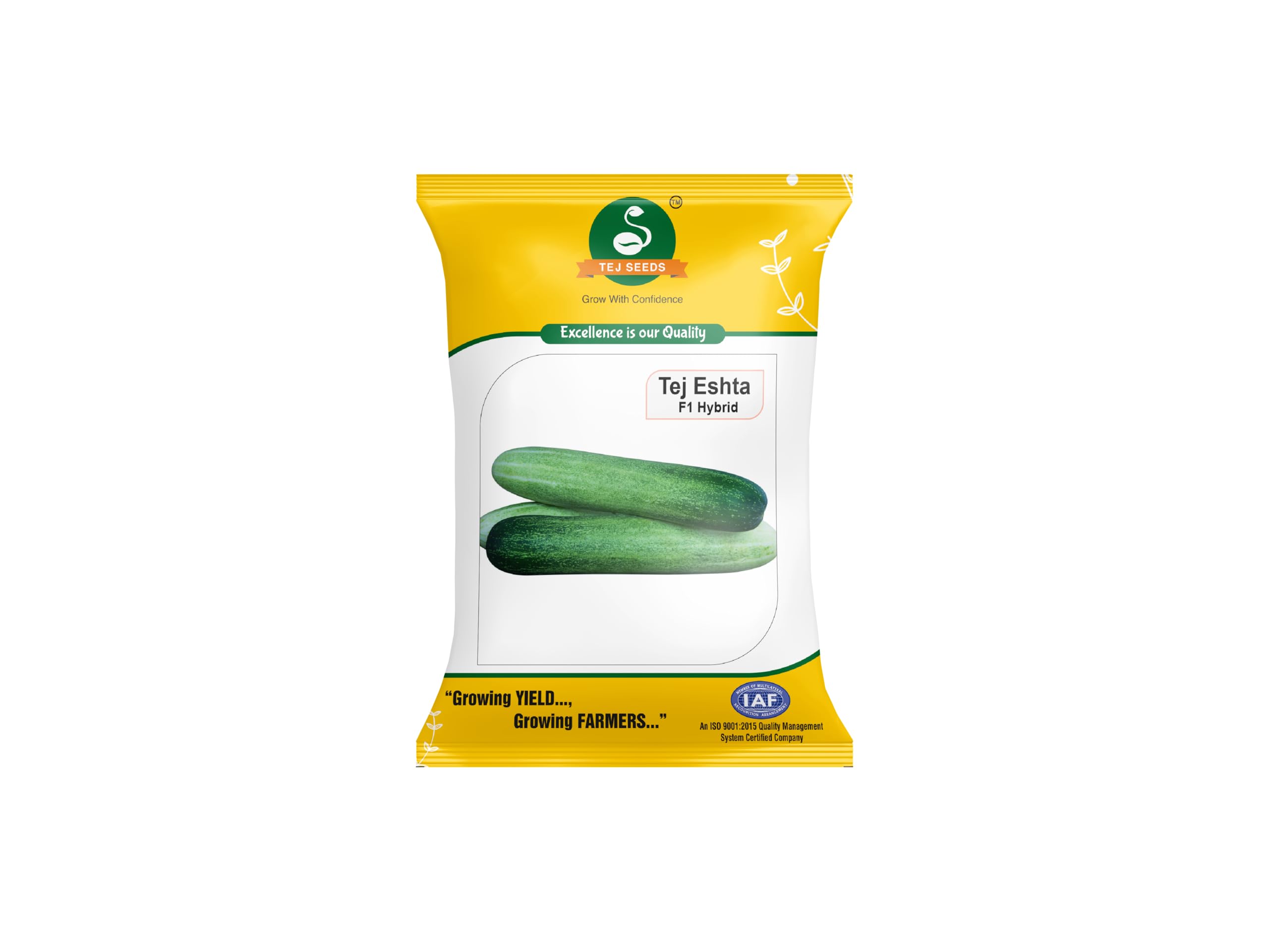 TEJ SEEDS Cucumber Seeds for Gardening Balcony Planting Hybride Seeds (F1 TEJ ESHTA 2 Gram) (B0CSBGLM2S) Amazon Price History, Amazon Price Tracker