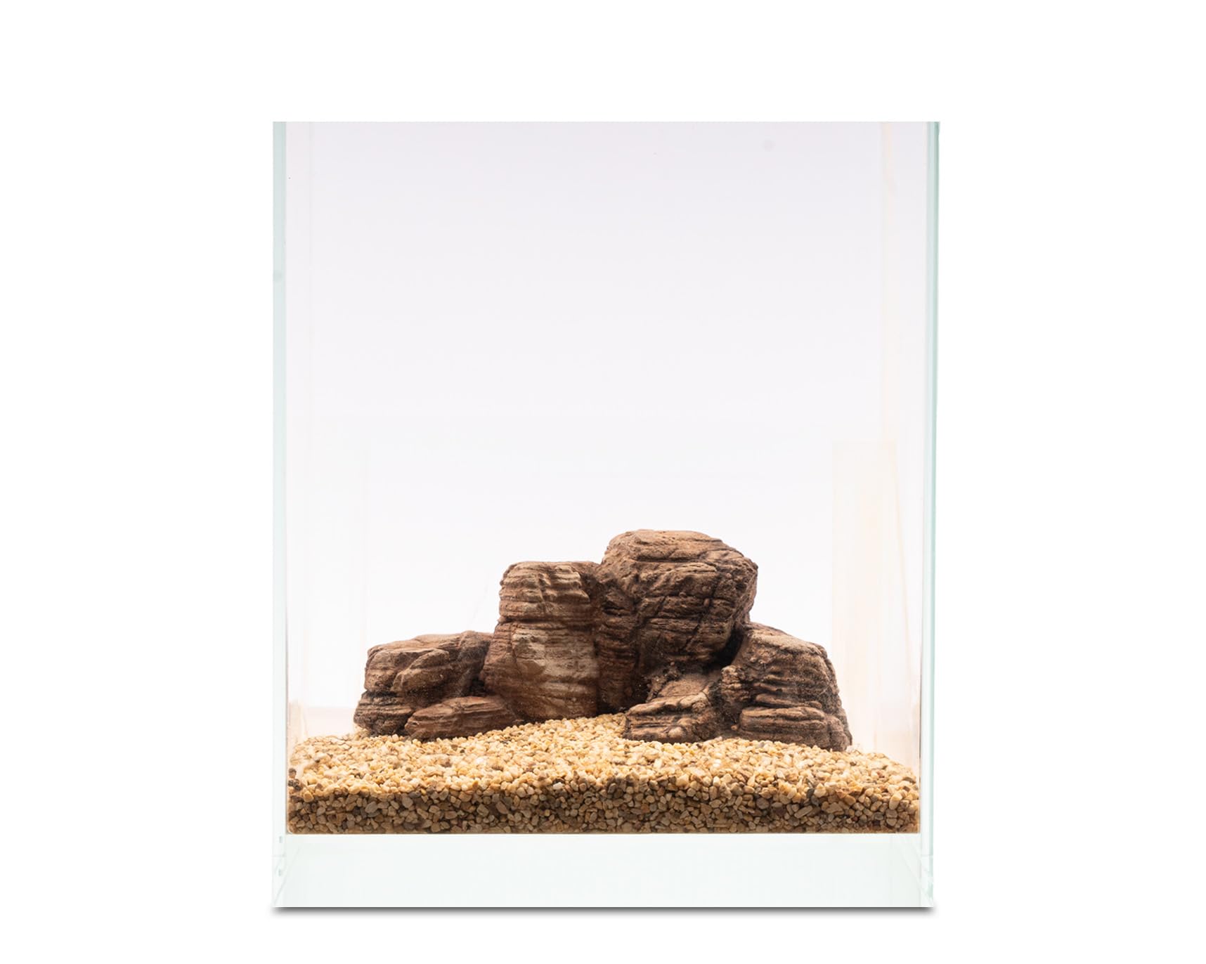 NatureHolic Ready to Scape Grand Canyon | Aquarium Deko Fels im Wüsten-Design | Für Becken ab 30 cm | Realistische Steinoptik aus Harz | Ideal zum Bepflanzen & biologisch aktiv