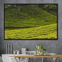 Framed Canvas Wall Art Greenlands Aerial Dark Farmhouse/Country Green Nature Photography Realism Relax/Calm - 16x24 inches