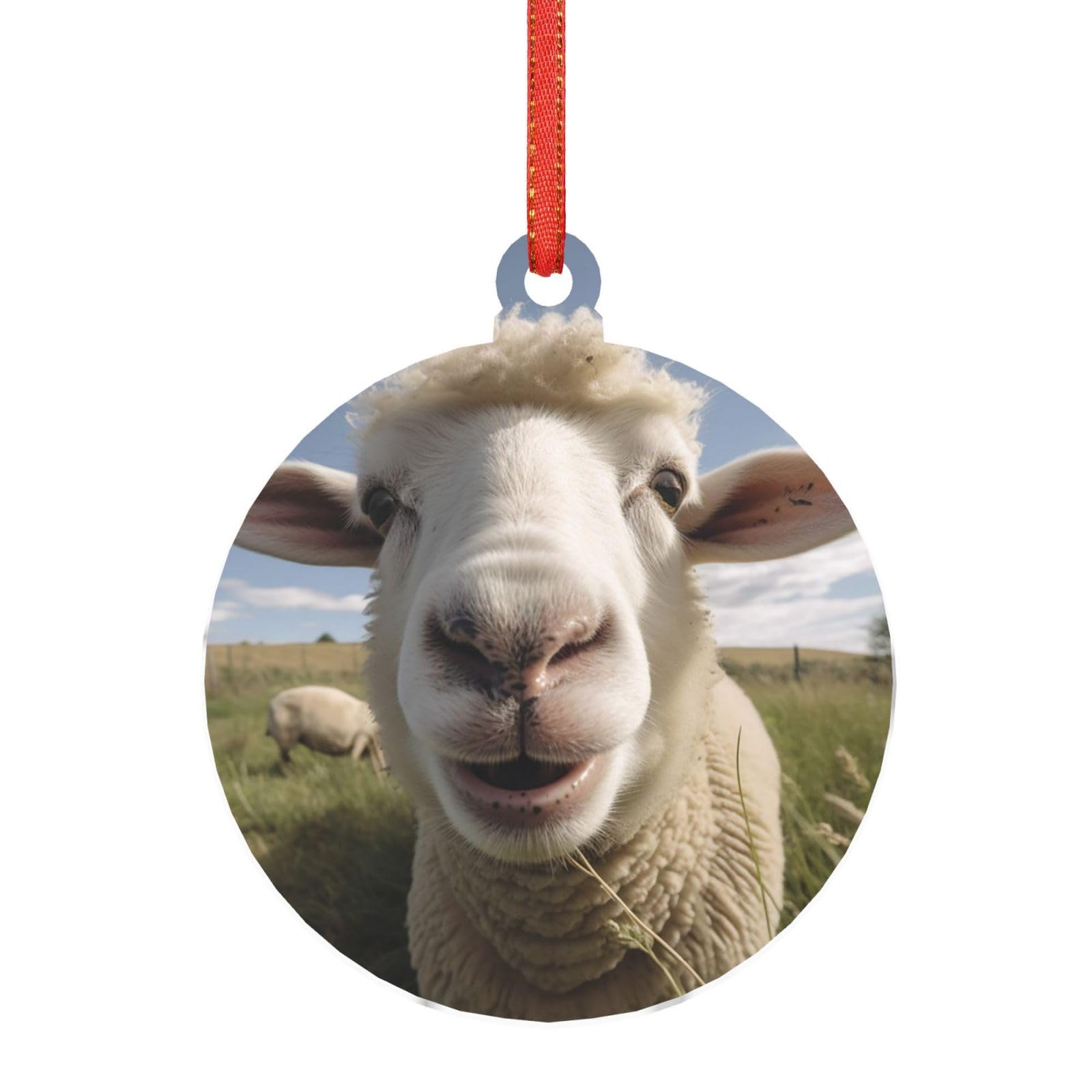 Hjkjkkj Round Shape Acrylic Ornament Christmas Tree Decoration Clear Round Pendant With Red Ribbon Sheep Taking Pictures Christmas Ornaments Indoor Outdoor Hanging Acrylic Pendants For Xmas Party Decor