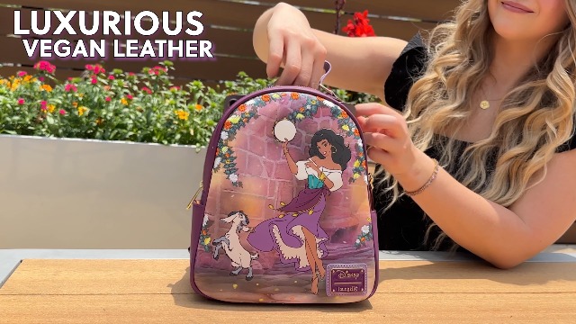 Amazon.com: Loungefly Disney Hunchback of Notre Dame  display picture 1