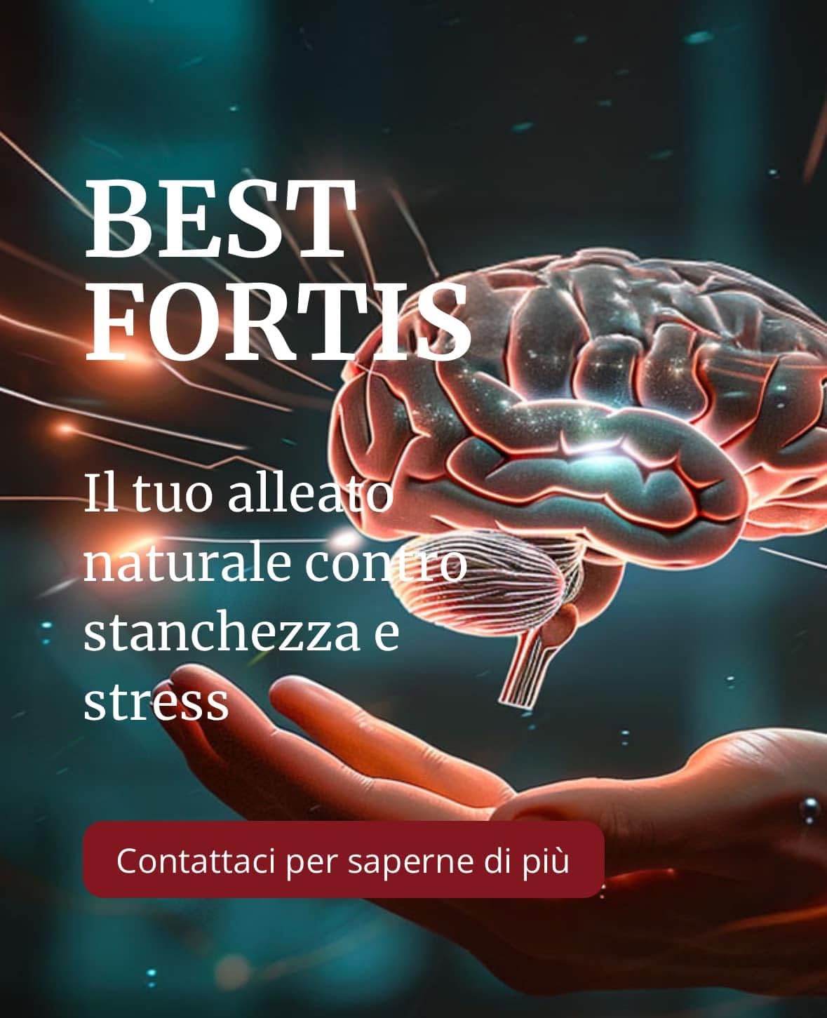 Best Fortis Nuova Formula - Integratore Alimentare a Base di Citicolina, Tè Nero, Griffonia, Rhodiola e Vitamine, 60 Capsule