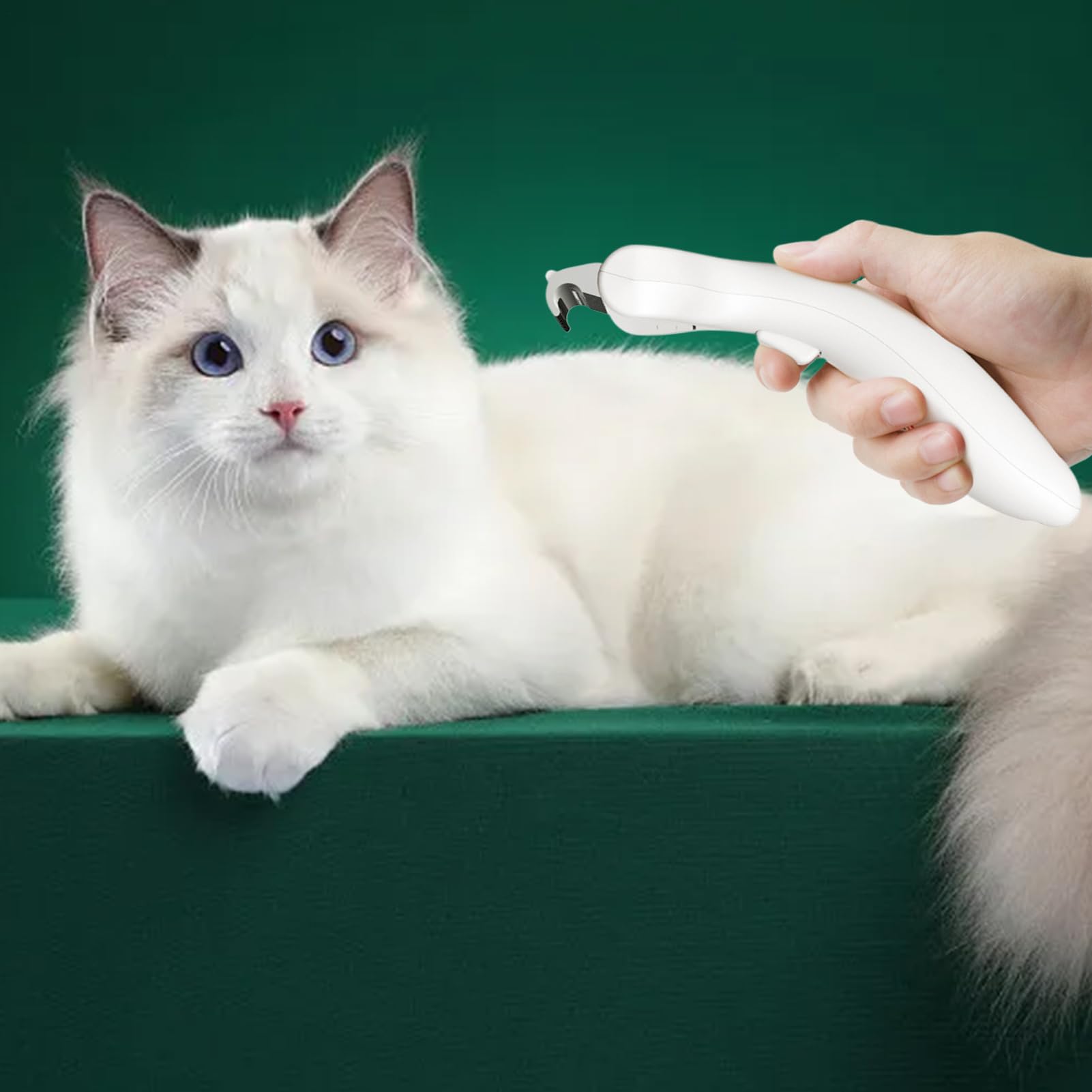 Spazzola Per La Dei Gatti Pettine spazzola rimuovi pelo in acciaio | Pettine pulente per animali Acciaio per Pulizia Casa Bagno Quotidiano Interno Esterno Viaggio