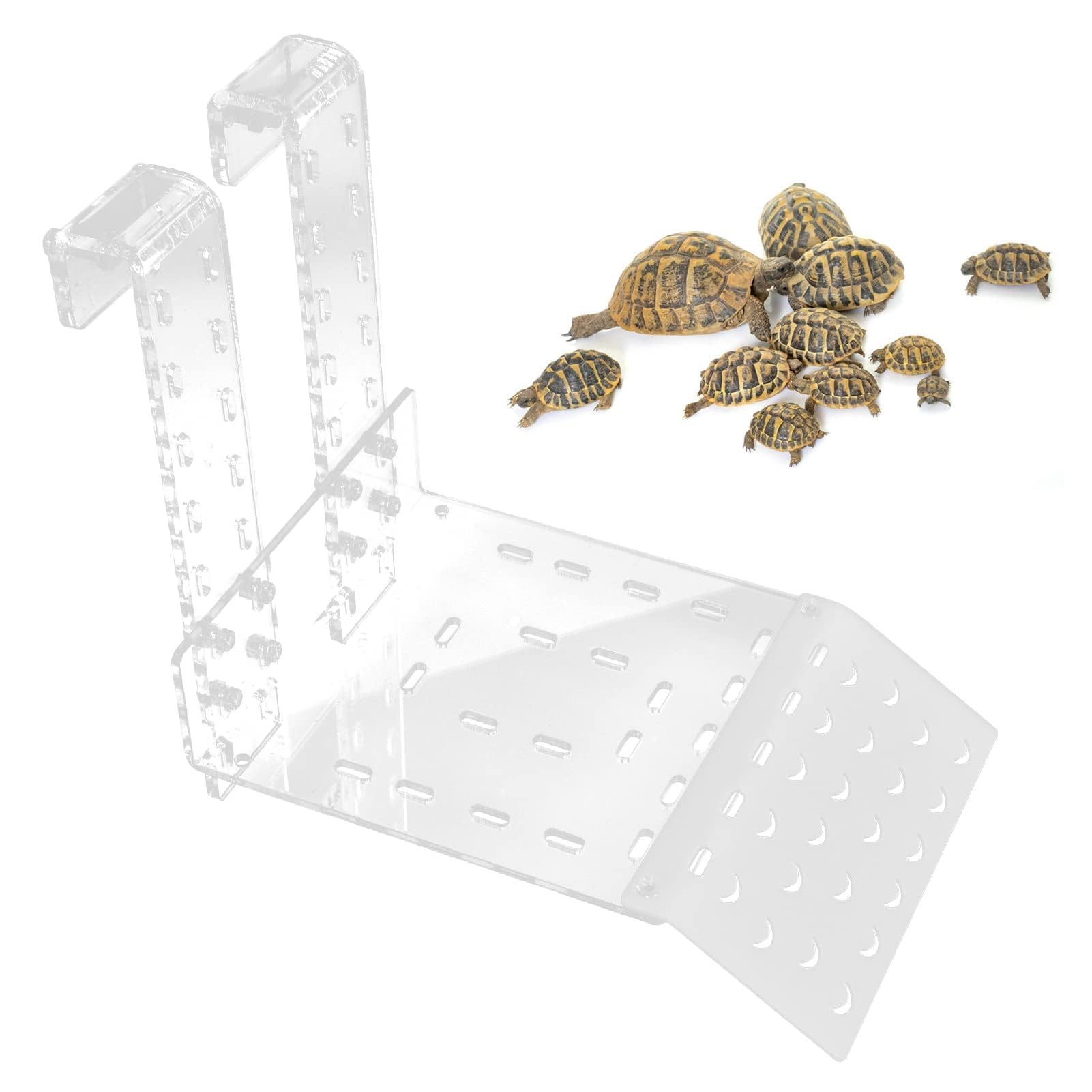 Ejoyous Piattaforma per Tartarughe, Terrazza Trasparente per Basking, Rampa Sospesa con Scaffale per Arrampicata