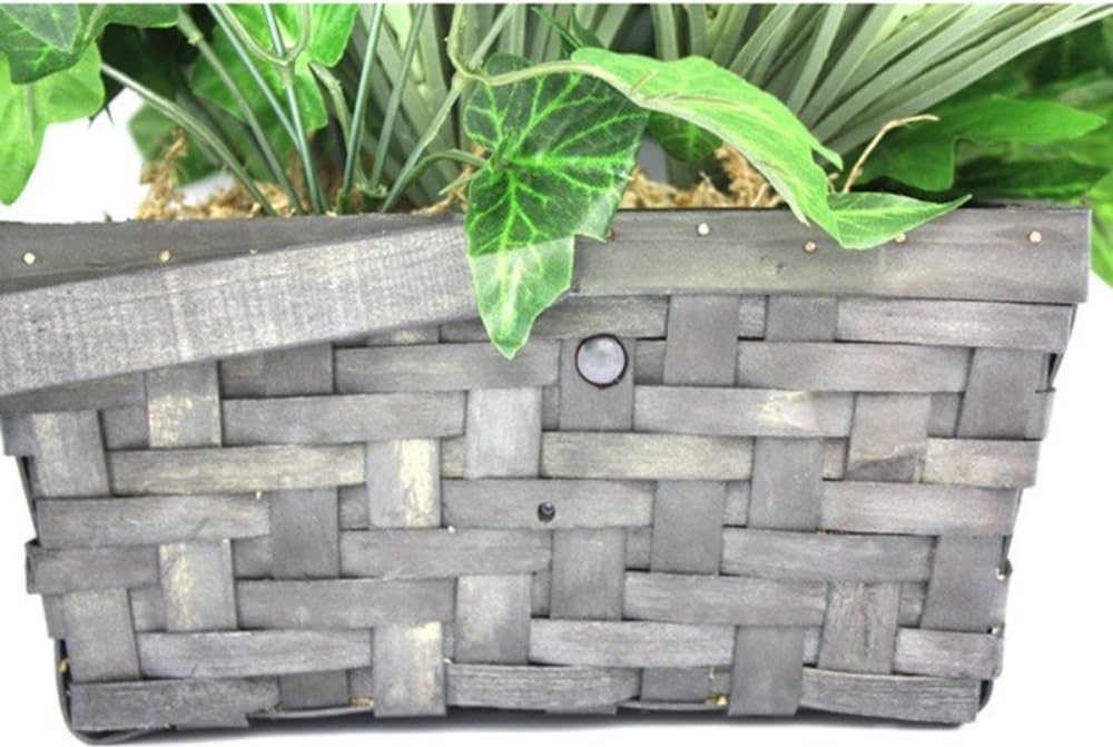 Amazon.com : SC70404K - Xtreme Life 2160P DVR PIR Plant : Electronics