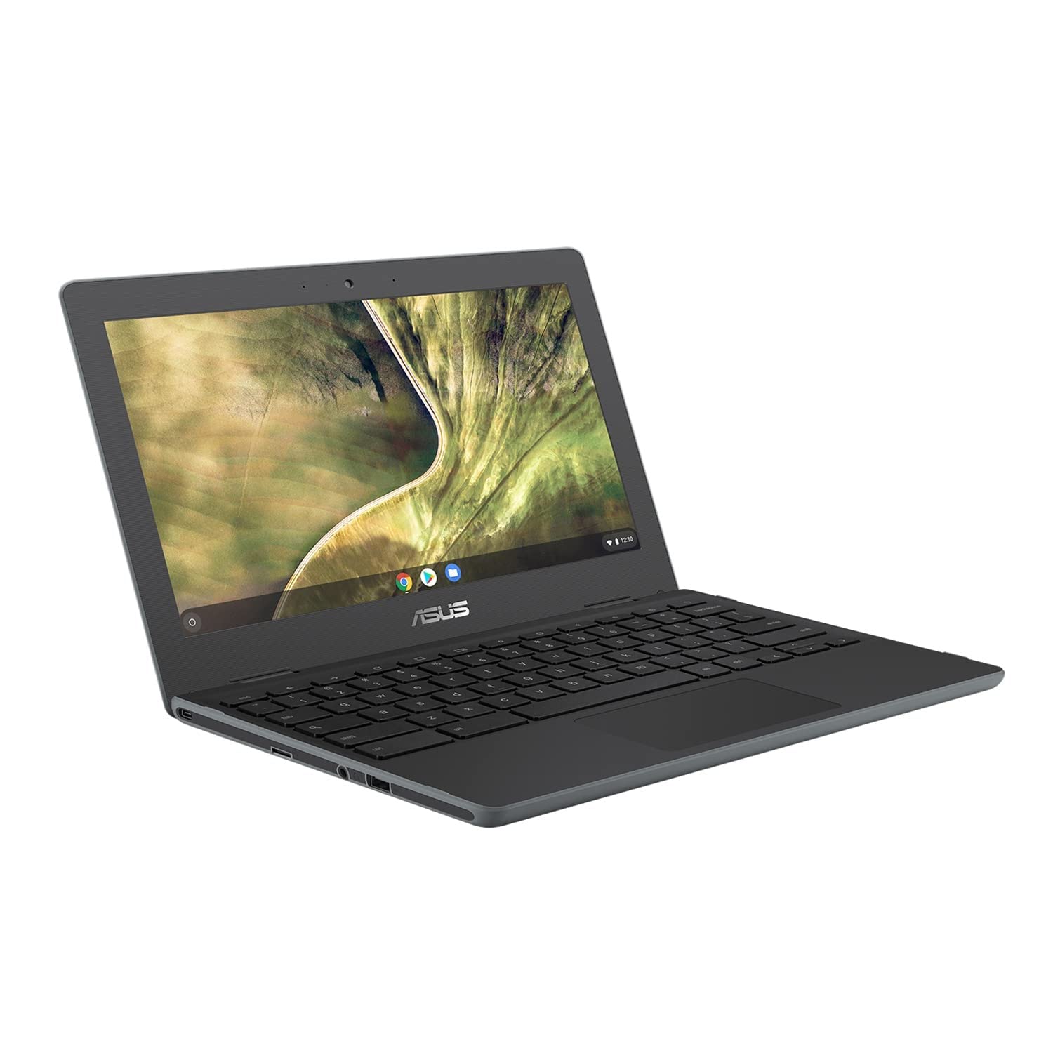 ASUS Chromebook C204MA 11.6
