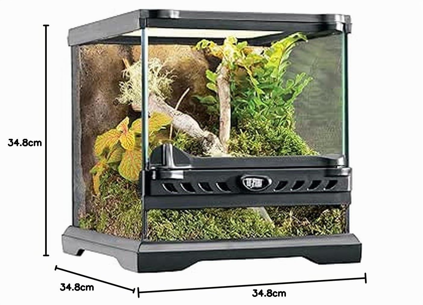 Exo Terra - Micro terrario in vetro con ambientazione per rettili, dimensioni 20 x 20 x 20 cm