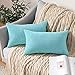MIULEE Lot de 2 Decorative Housses de Coussin en Velours Côtelé Canapé Taie d'oreiller Decoratif Douce pour Maison Salon Chambre Lit Bureau 30x50CM Bleu Turquoise