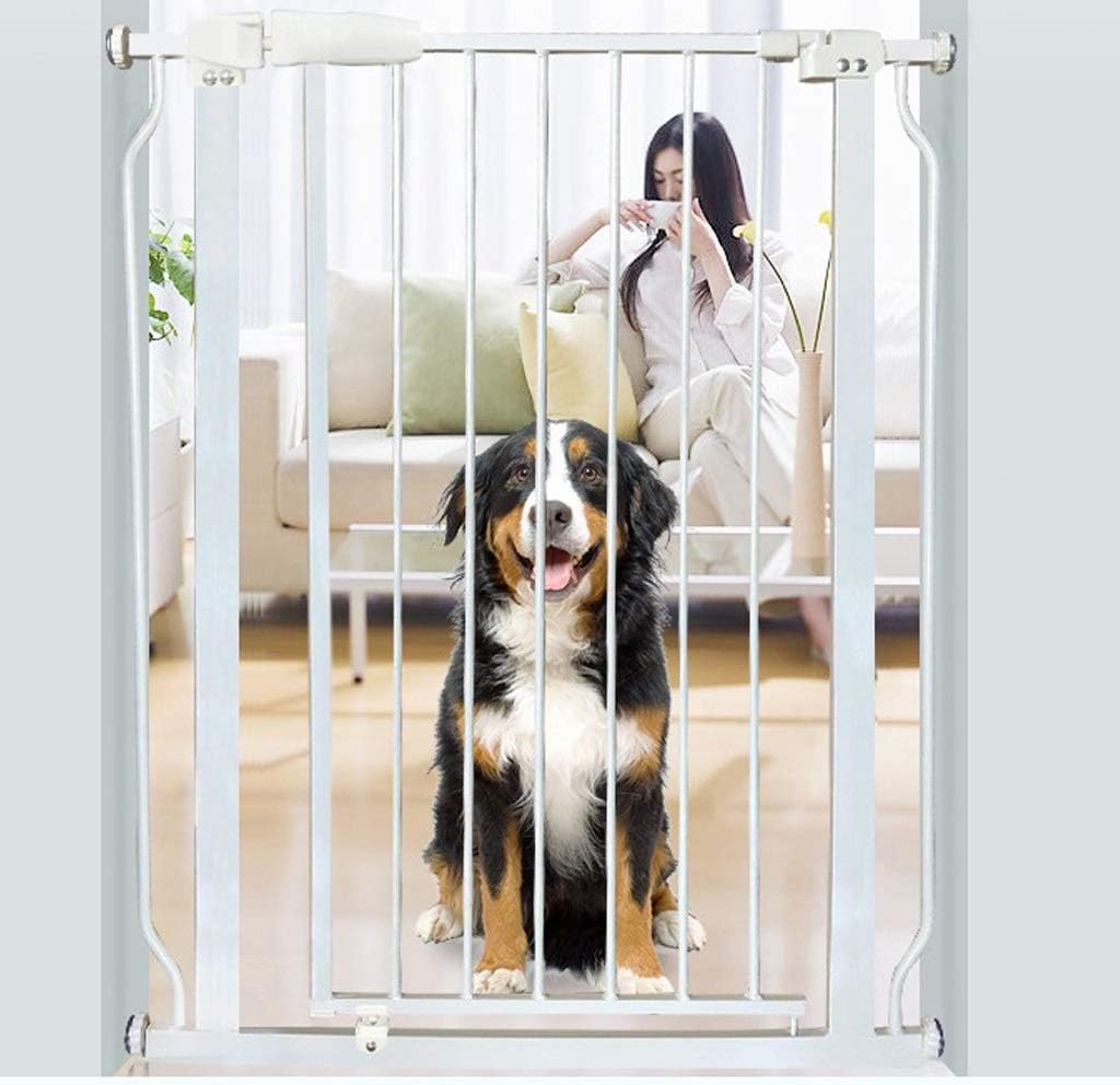 ドゥシャン•カーライ 銅版画1枚と直筆サイン入りポストカード1枚 即