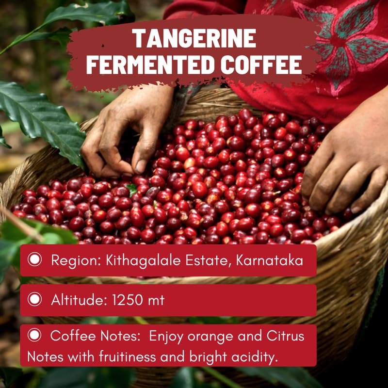 Image of Toffee Coffee Roasters | Fruit Fermented Coffee - Coffee Sample | Pack of 2x100gm (Annanas, Tangerine), Grind: Decoction Coffee Maker