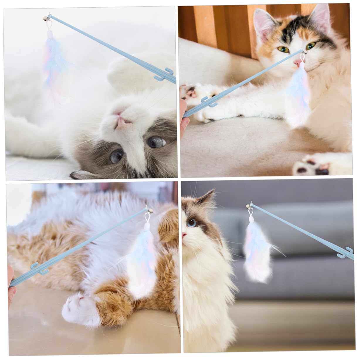 Sosoport 16pièces Jouets Interactifs pour Chats à Plumes avec Poignée Cactus Jouets De Teasing Autonome pour Chats Intérieur